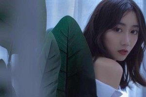 木见林与林映雪：乡村走访与身份揭秘