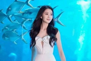 精选图片集：视觉盛宴与创意灵感